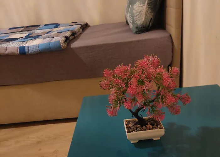 B.a.a Sabiha Goekcen Hostel