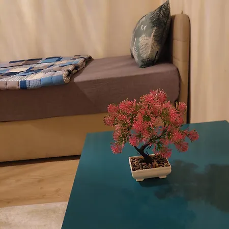 B.a.a Sabiha Goekcen Hostel