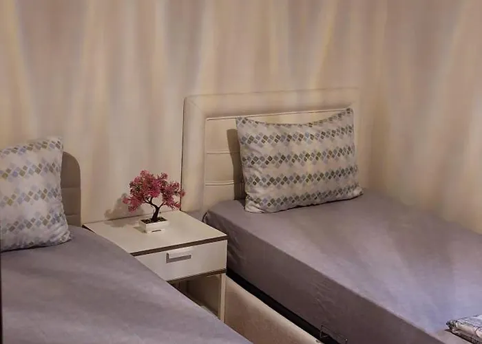 B.a.a Sabiha Goekcen